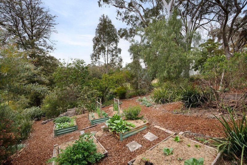Photo - 64 Lucerne Crescent, Alphington VIC 3078 - Image 19