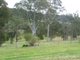 Photo - 64 Mountview Close, Bega NSW 2550 - Image 16