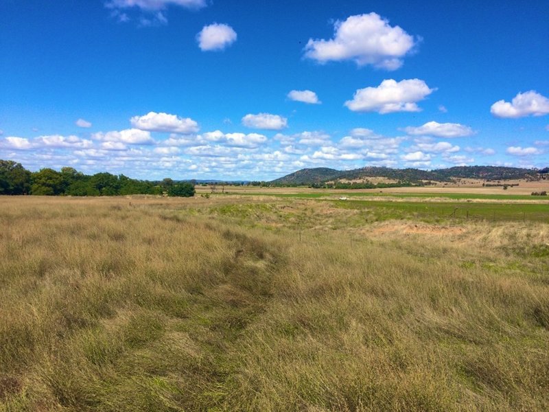 Photo - 64 Tallarook Road, Cowra NSW 2794 - Image 7