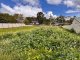 Photo - 64 Telluride Street, Greenbushes WA 6254 - Image 10