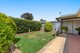 Photo - 64 Tracey Avenue, Paralowie SA 5108 - Image 4