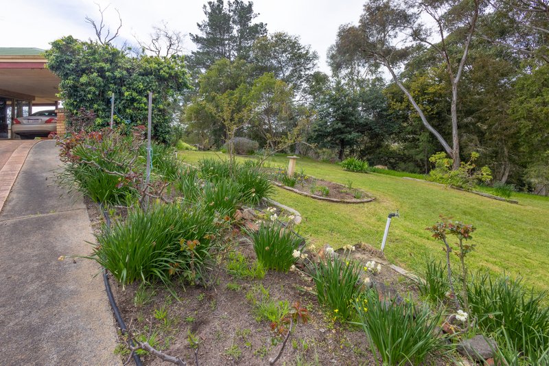 Photo - 64 Wheatley Street, Bridgetown WA 6255 - Image 19