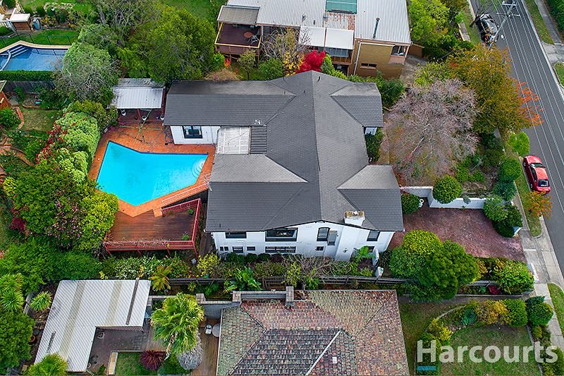 Photo - 64 Wilson Road, Glen Waverley VIC 3150 - Image 12