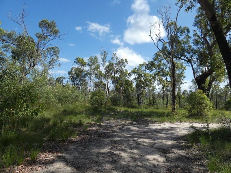 Photo - 641 Capricornia Drive, Deepwater QLD 4674 - Image 5