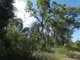 Photo - 641 Capricornia Drive, Deepwater QLD 4674 - Image 23