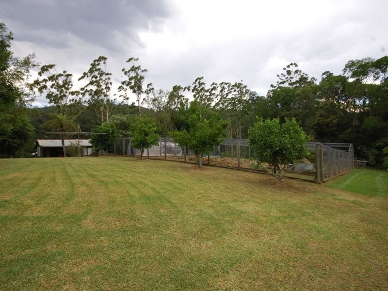 Photo - 641 Kippax Road, Wingham NSW 2429 - Image 15