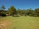 Photo - 641 Kippax Road, Wingham NSW 2429 - Image 17