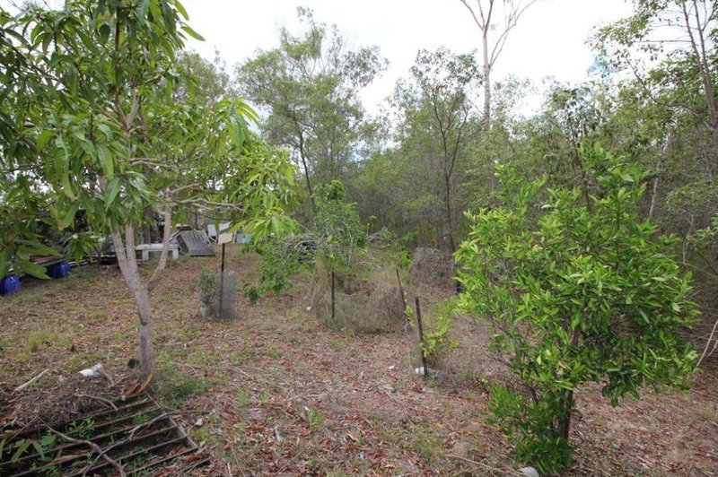 Photo - 641 Mineral Road, Rosedale QLD 4674 - Image 21