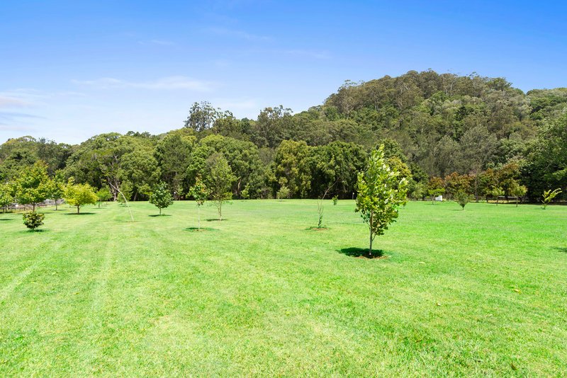 Photo - 641 Tallebudgera Creek Road, Tallebudgera Valley QLD 4228 - Image 5