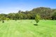 Photo - 641 Tallebudgera Creek Road, Tallebudgera Valley QLD 4228 - Image 5