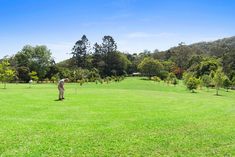 Photo - 641 Tallebudgera Creek Road, Tallebudgera Valley QLD 4228 - Image 7