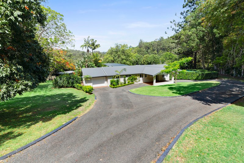 Photo - 641 Tallebudgera Creek Road, Tallebudgera Valley QLD 4228 - Image 19