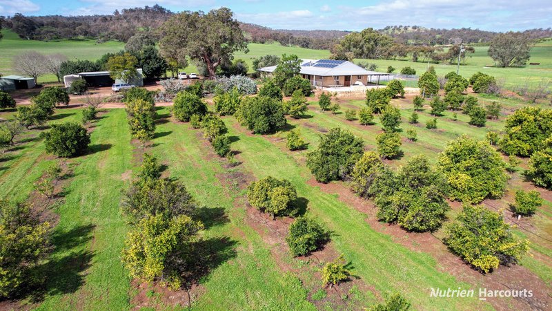 Photo - 6422 Great Northern Highway, Bindoon WA 6502 - Image 22