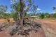 Photo - 644 Townend Road, Acacia Hills NT 0822 - Image 19