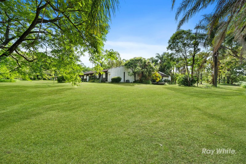 Photo - 6443 Mount Lindesay Highway, Veresdale QLD 4285 - Image 12