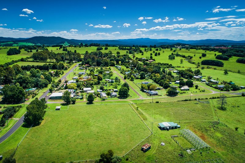 Photo - 646 Tyringham Road, Dorrigo NSW 2453 - Image 5