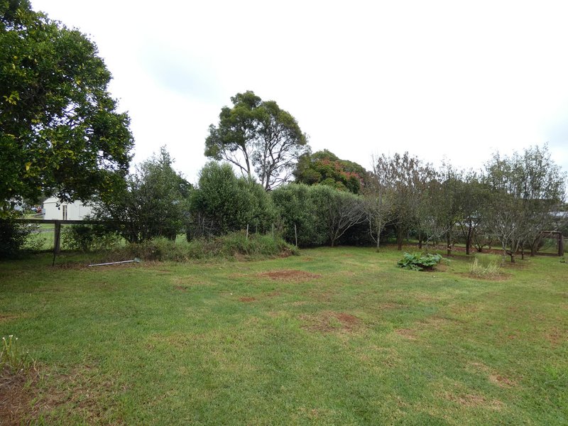 Photo - 646 Tyringham Road, Dorrigo NSW 2453 - Image 21