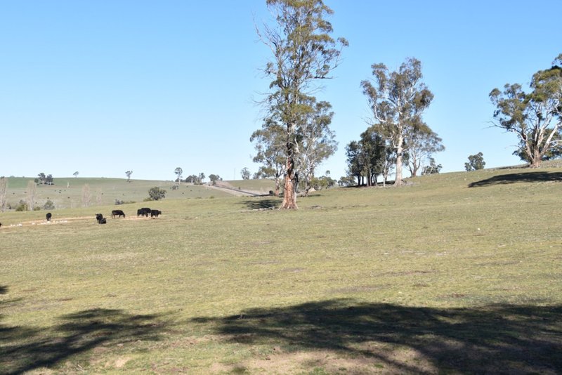 Photo - 6466 Abercrombie Road, Oberon NSW 2787 - Image 4