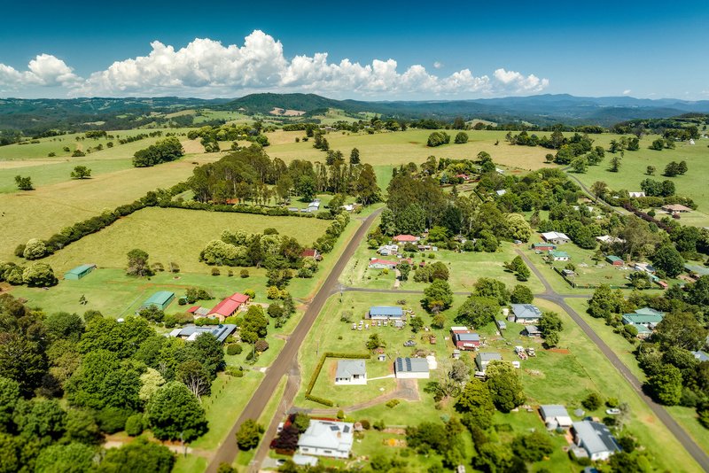 Photo - 648 Tyringham Road, Dorrigo NSW 2453 - Image 14