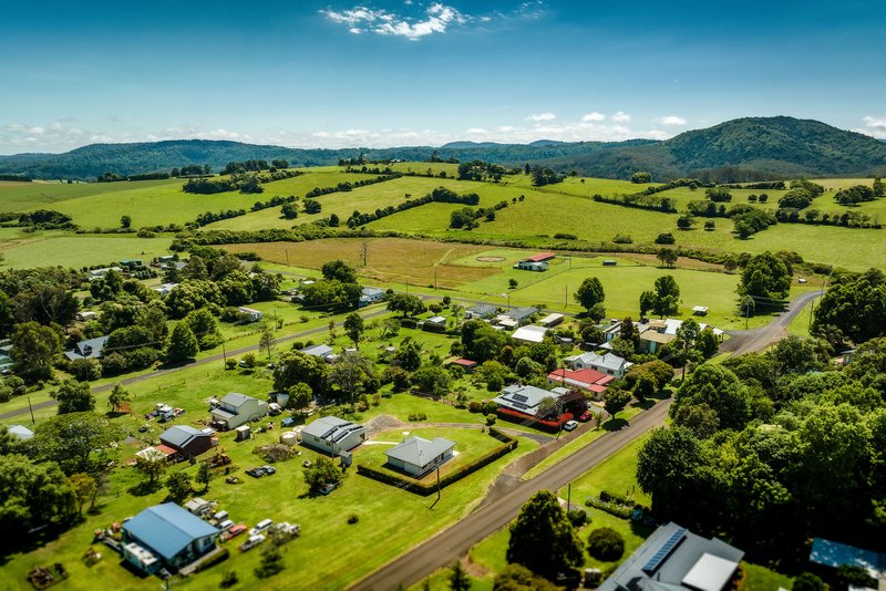 Photo - 648 Tyringham Road, Dorrigo NSW 2453 - Image 15