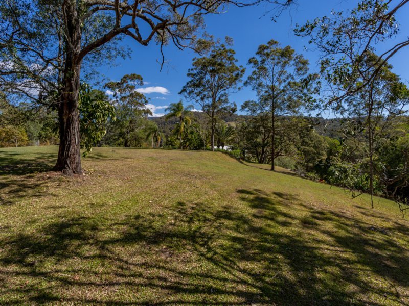 Photo - 649 Gold Coast Springbrook Road, Mudgeeraba QLD 4213 - Image 21