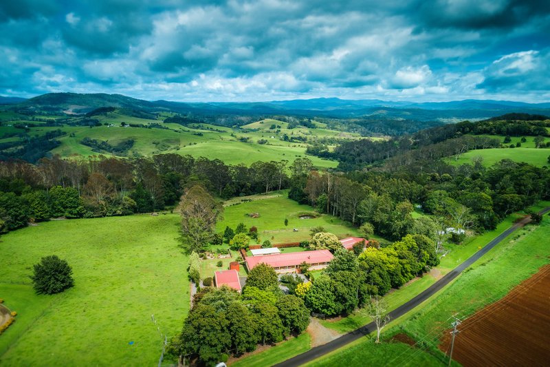 649 Old Coast Road, North Dorrigo , Dorrigo NSW 2453