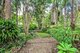 Photo - 65-67 Parsons Road, Forest Glen QLD 4556 - Image 4