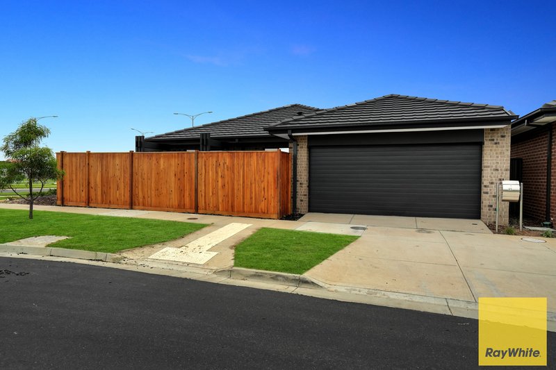 Photo - 65 Aspire Street, Tarneit VIC 3029 - Image 4