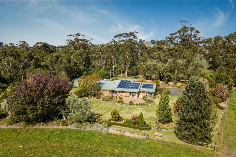 Photo - 65 Boundary Road, Loch VIC 3945 - Image 35