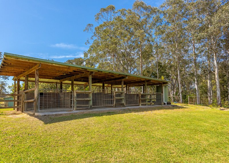 Photo - 65 Careys Road, Hillville NSW 2430 - Image 21