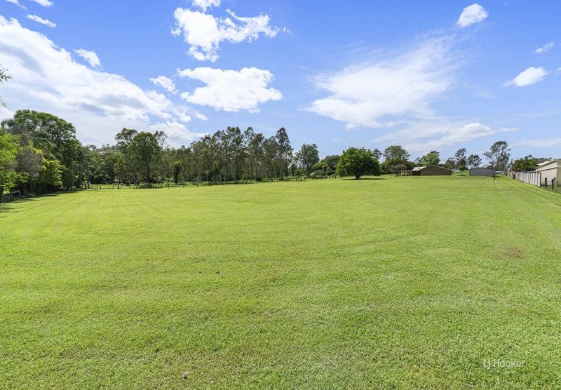 Photo - 65 Carralluma Crescent, Fernvale QLD 4306 - Image 13