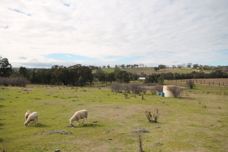 Photo - 65 Cherry Vale Place, Young NSW 2594 - Image 3