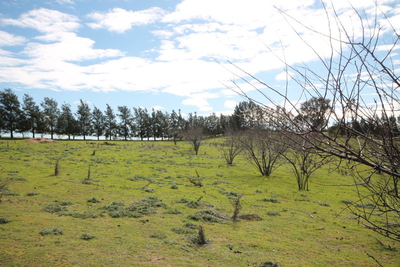 Photo - 65 Cherry Vale Place, Young NSW 2594 - Image 4