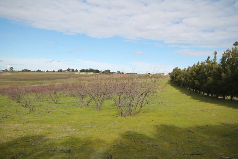 Photo - 65 Cherry Vale Place, Young NSW 2594 - Image 6