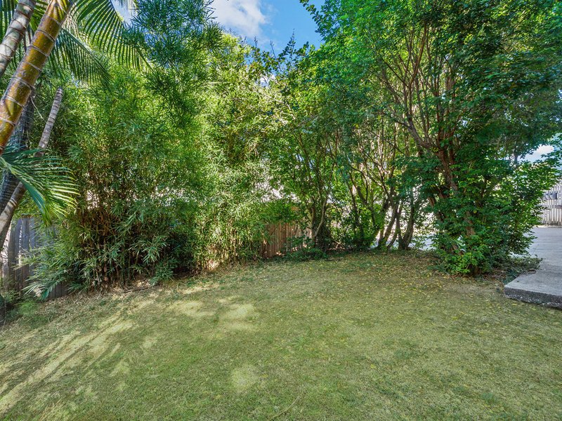 Photo - 65 Coventry Street, Hawthorne QLD 4171 - Image 12