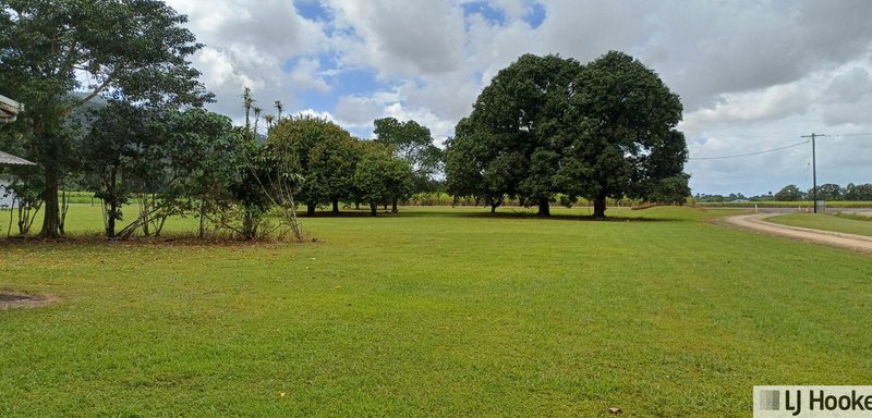 Photo - 65 Deluca Road, Silky Oak QLD 4854 - Image 2