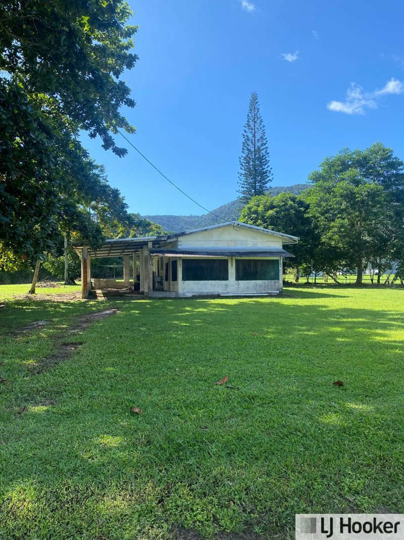 Photo - 65 Deluca Road, Silky Oak QLD 4854 - Image 10