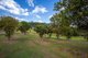 Photo - 65 Diamondfield Road, Amamoor QLD 4570 - Image 19