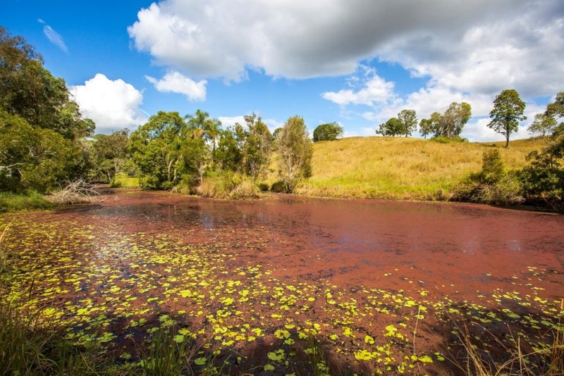 Photo - 65 Diamondfield Road, Amamoor QLD 4570 - Image 24