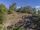 Photo - 65 Honeydew Place, Ninderry QLD 4561 - Image 12