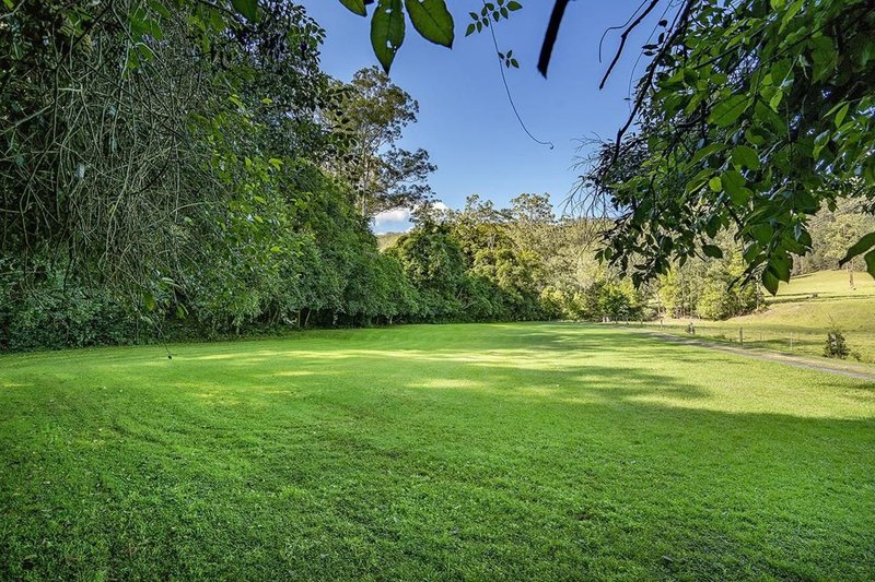 Photo - 65 Horgans Lane, Martinsville NSW 2265 - Image 4