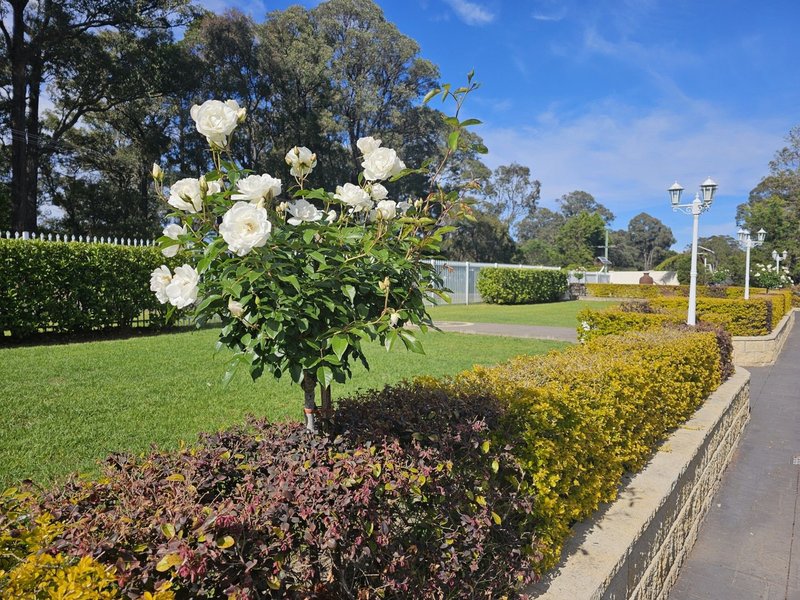 Photo - 65 Ironbark Road, Bargo NSW 2574 - Image 6