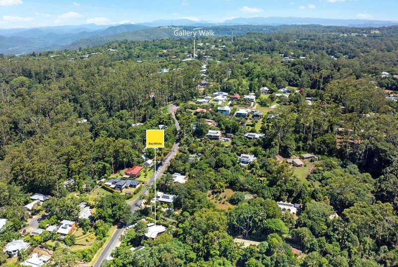 Photo - 65 Long Road, Tamborine Mountain QLD 4272 - Image 19