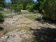 Photo - 65, Lot 101 Warooka Road, Yorketown SA 5576 - Image 3