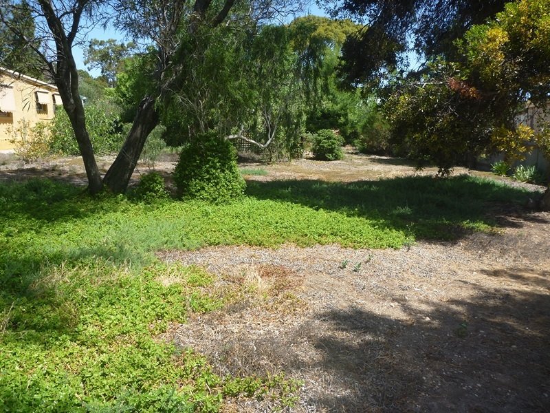 Photo - 65, Lot 101 Warooka Road, Yorketown SA 5576 - Image 4