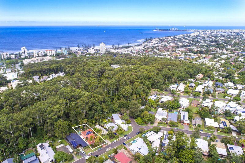 Photo - 65 Oloway Crescent, Alexandra Headland QLD 4572 - Image 2