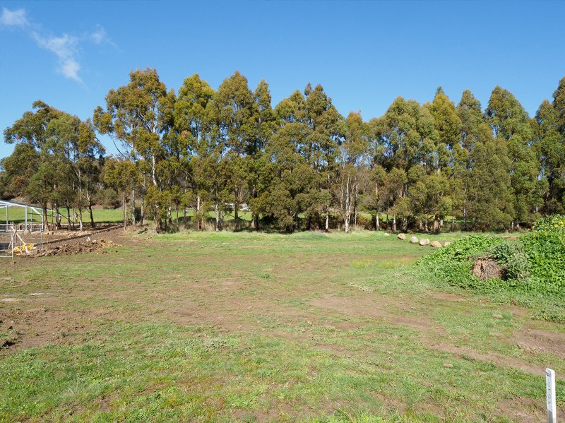 Photo - 65 Parkfield Drive, Youngtown TAS 7249 - Image 5