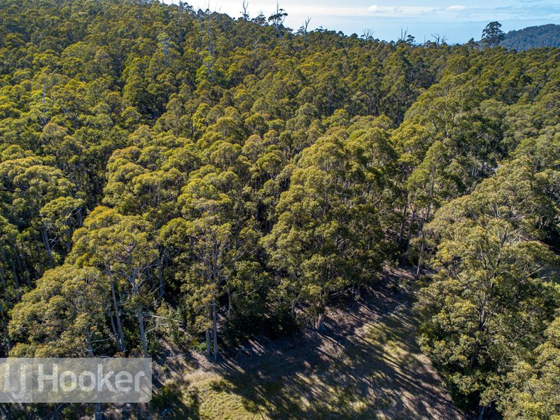 Photo - 65 Pioneer Road, Kaoota TAS 7150 - Image 8