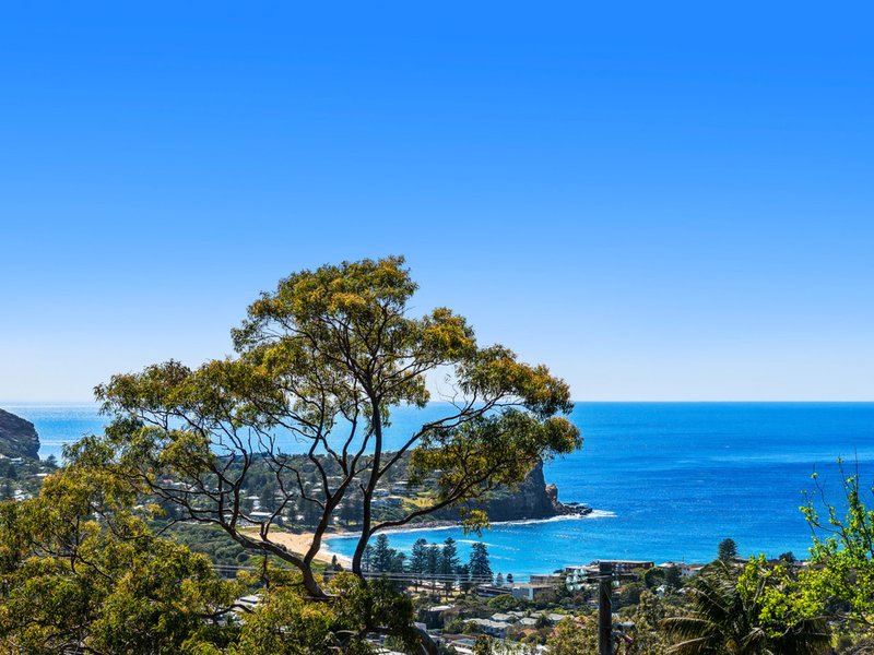 65 Plateau Road, Bilgola Plateau NSW 2107