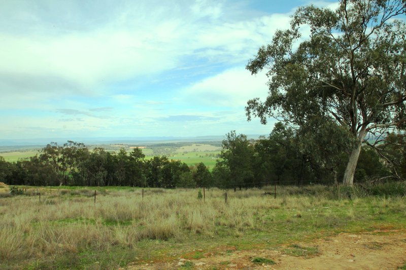 Photo - 65 Ray Carter Drive, Quirindi NSW 2343 - Image 2